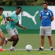 Palmeiras deve ter um novo desfalque para o duelo contra o Fluminense