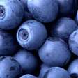 Este fruto azul é considerado um superalimento pela sua alta concentração de antioxidantes