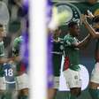 Palmeiras vence o Fluminense e tem noite marcada por polêmicas