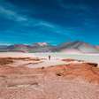 Atacama tem uma surpresa: o deserto mais seco do mundo possui uma diversidade riquíssima de vida com vermes que lembram Duna