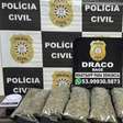 Operação Greenload mira envio interestadual de skunk e prende suspeitos no RS