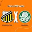 Novorizontino x Palmeiras: AO VIVO, com a Voz do Esporte, às 18h30
