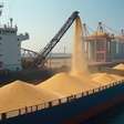 Terminal aumenta em 15% produtividade na exportação de grãos