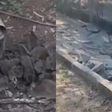 Infestação de ratos assusta moradores e 'implode' calçada em cidade do RS