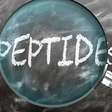 Peptídeos: as pequenas moléculas que mantêm o corpo em equilíbrio
