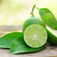 Limão: 10 benefícios impressionantes para a saúde e formas criativas de usá-lo