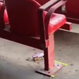 Lixo nas arquibancadas do MorumBis expõe abandono no São Paulo; veja vídeo