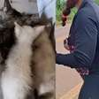 Ciclista viraliza ao resgatar e transportar gatinhos abandonados em rodovia dentro da roupa