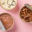Conheça os benefícios dos alimentos úmidos para os pets