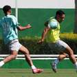Vitor Roque e Paulinho avançam na recuperação e animam o Palmeiras