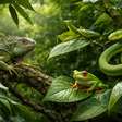 Nem só de plantas vive o verde: animais que surpreendem na natureza