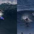 Ítalo Ferreira surfa com golfinhos durante aquecimento para a etapa de Margaret River da WSL