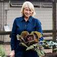 Martha Stewart, aos 84 anos: "Caminho bastante, três vezes por semana faço sessões de Pilates de 45 minutos e duas vezes por semana uso halteres e aparelhos; uso praticamente os mesmos pesos de sempre, então estou muito forte"