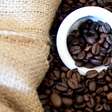 Cultivo de café no Vietnã poderá receber reconhecimento da Unesco
