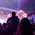 Tigre avança em direção ao público após grade ceder em circo na Rússia; veja vídeo