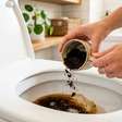 Café usado no vaso sanitário: entenda os possíveis benefícios desse truque caseiro