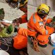 Bombeiros escalam prédio para salvar maritacas presas em telhado em MG
