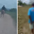 Policiais a cavalo prendem suspeito de estupro no interior de Alagoas