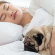 Dormir com o pet pode ser prejudicial? Veja o que diz especialista