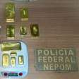 Ouro, aeronave e celulares são apreendidos pela PF e PRF durante operação no Pará