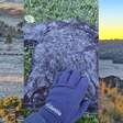 Sul do Brasil amanhece com temperatura negativa e até camisetas ficam congeladas; veja fotos