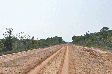 Amazônia: Justiça autoriza o Dnit a reativar licitações para obras da BR-319