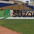 Lucro da Suzano (SUZB3) cai 32% e ações lideram perdas do Ibovespa