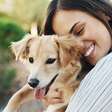 Quanto tempo vive um cachorro? Descubra de acordo com a raça