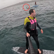 Tubarão persegue surfista por cerca de 4 minutos na Califórnia; veja vídeo