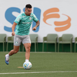 Paulinho volta a ser relacionado no Palmeiras após passar quase 10 meses afastado