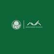 Palmeiras anuncia nova parceria e aposta em tecnologia para elevar desempenho