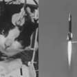Antes de cadela Laika, uma gata francesa superou astronautas, chegou ao espaço e teve destino trágico