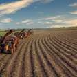 O que muda para o Brasil com o acordo UE-Mercosul em vigor