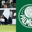 Palmeiras identifica e toma atitude drástica com torcedor; entenda