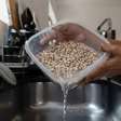 "Esqueci de colocar o feijão de molho": 3 truques para evitar gases e má digestão, segundo nutricionistas