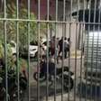 Torcedores do Vasco são espancados nas proximidades do Maracanã após clássico
