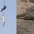 Entenda a história por trás da imagem do crocodilo içado por helicóptero na África do Sul