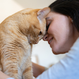 Entre Ciência e Afeto: Por Que os Nossos Animais Também Cuidam