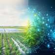 Nem tratores, nem agricultores: a China revela a megaestrutura bizarra perfeita para cultivar comida fresca, barata e infinita para alimentar bilhões de pessoas