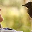 Sessão da Tarde - Saiba qual filme a Globo exibe nesta quarta-feira