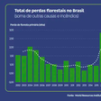 Perdas florestais caem 42% no Brasil, aponta estudo