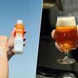 Descobertas inusitadas: o lúpulo que sobra da produção de cerveja é um excelente protetor solar
