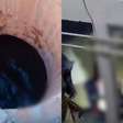 Égua cai em adutora e deixa mais de 700 bairros sem água na Grande BH