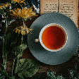 Chás para dias frios: 10 receitas para aquecer e cuidar da saúde