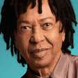 Djavan no Allianz: veja guia com itens proibidos, horários e setlist