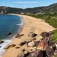 Imóveis na Interpraias devem valorizar até 50% em dois anos