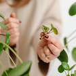 'É só uma mudinha': entenda por que pegar plantas pode ser crime
