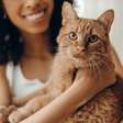 Gatos: como o animal escolhe quem é a sua pessoa favorita em casa?