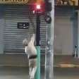 Mulher destrói totem de segurança horas após instalação e acaba detida em Novo Hamburgo