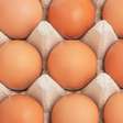 Nem mais fortes, nem mais saudáveis: o que realmente muda entre ovos brancos e marrons